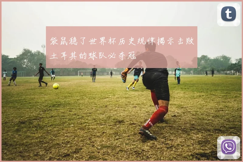 袋鼠稳了世界杯历史规律揭示击败土耳其的球队必夺冠